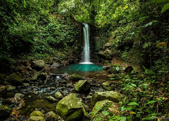 Clove Tree Hill 4* Blimbing