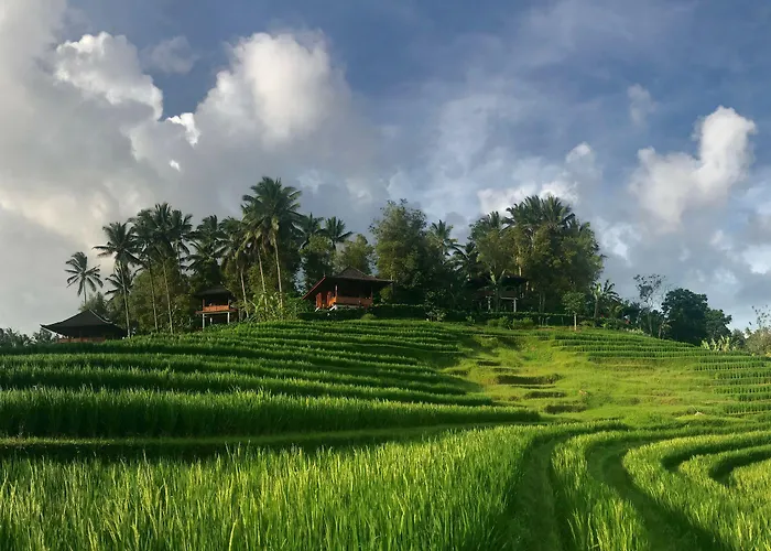 Resort Clove Tree Hill Blimbing (Bali)