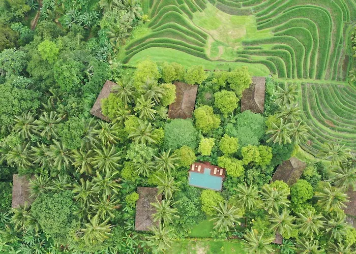 Resort Clove Tree Hill Blimbing (Bali)
